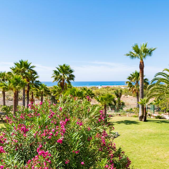 appartementen-praia-da-lota-winterzon