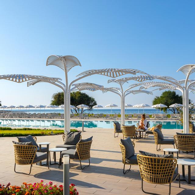 the-ivi-mare-adults-only