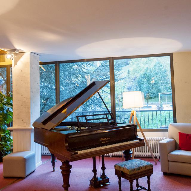Hotel Sant Gothard in Arinsal - foto 12