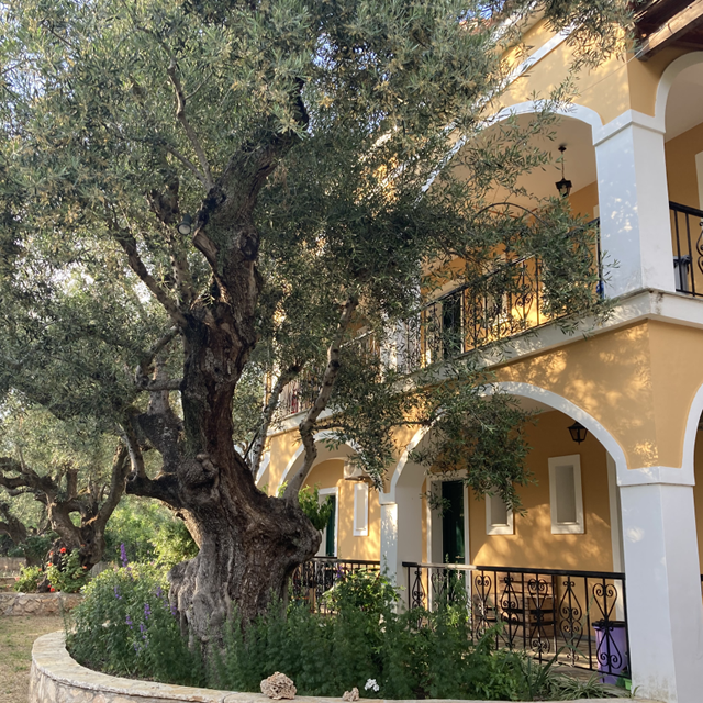 appartementen-villa-christina