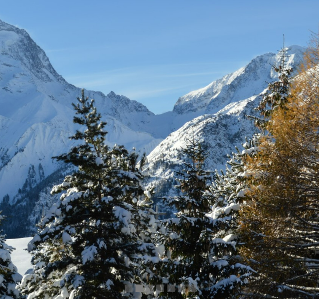 Hotel Serre Palas in Les Deux Alpes - foto 7