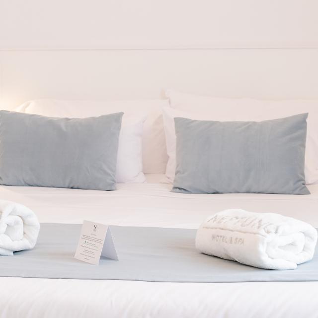 hotel-neptuno-spa