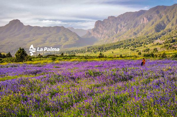 Foto van La Palma
