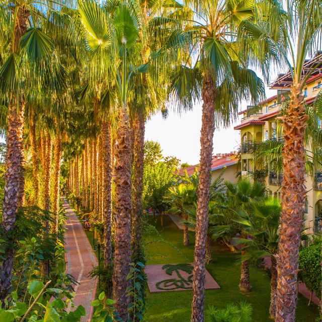 hotel-gardenia-beach