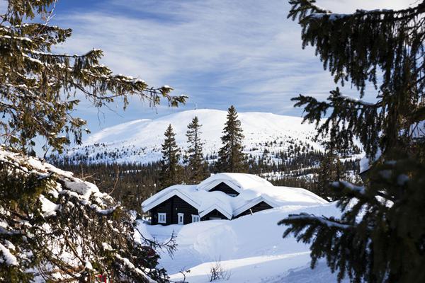 Foto van Trysil