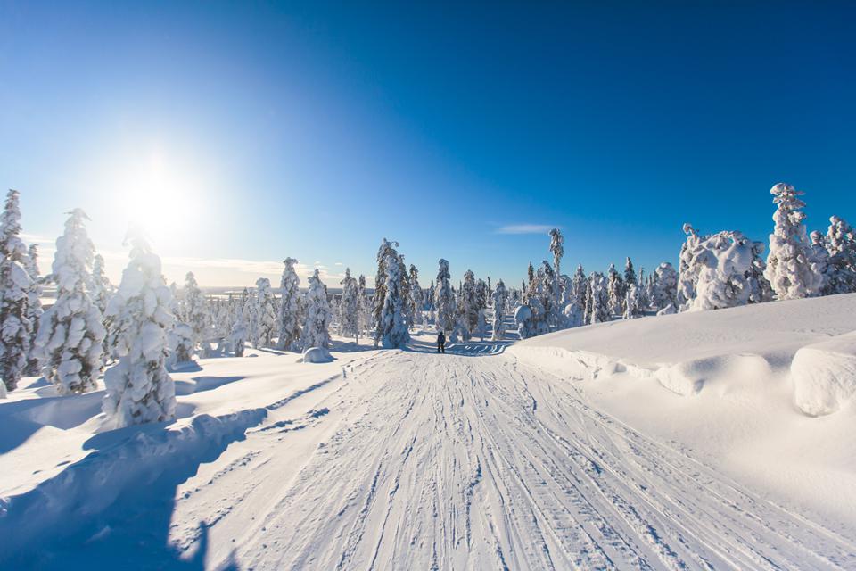 Sälen Foto: 7 van 12