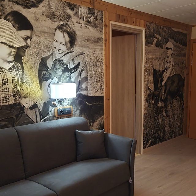 Hotel Lac Bleu - Afbeelding 9