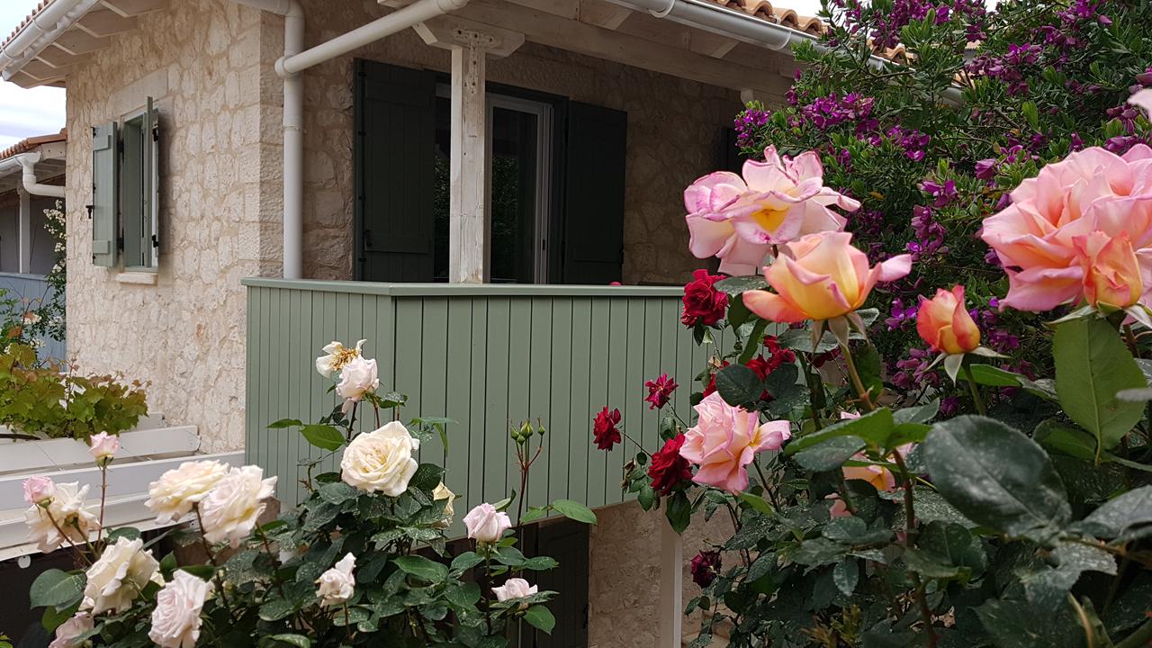 Appartementen Wild Sea