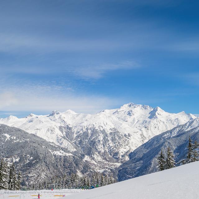 residence-pv-premium-les-chalets-du-forum