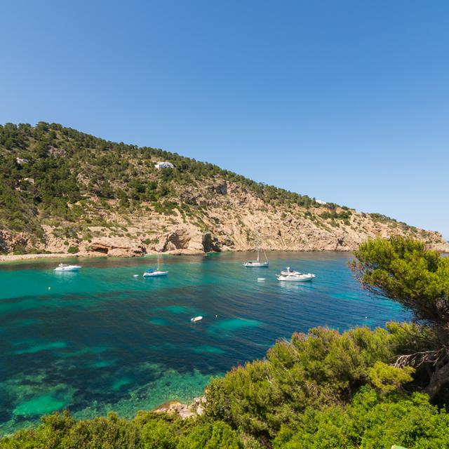 palladium-hotel-cala-llonga-adults-only