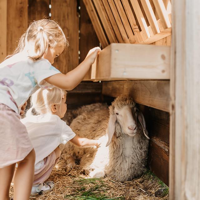 Hofgut Wagrain Apartments & Lifestyle Resort - Afbeelding 28