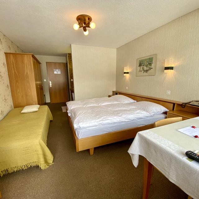 Hotel Alpina Parpan - Afbeelding 14