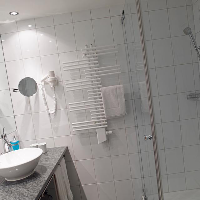 Hotel Alpina Parpan - Afbeelding 16