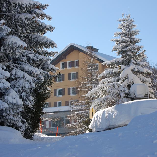 Hotel Alpina Parpan - Afbeelding 13