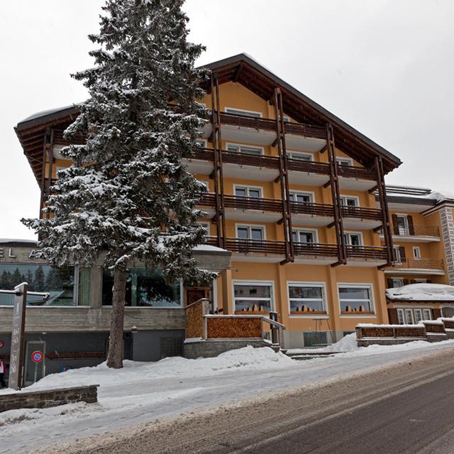 Hotel Alpina Parpan - Afbeelding 18
