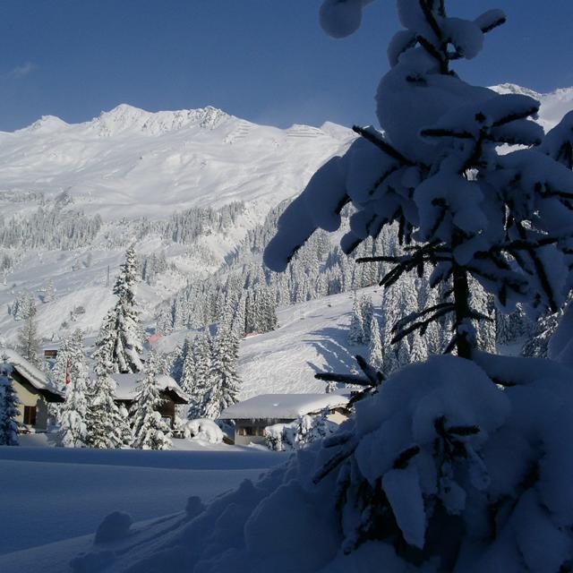 Hotel Alpina Parpan - Afbeelding 21
