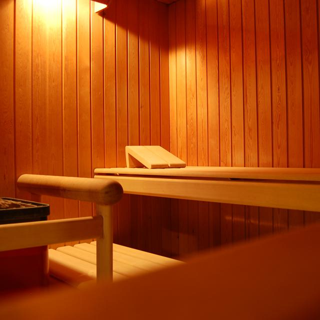 Hotel Alpina Parpan - Afbeelding 17