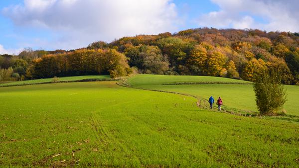 Foto van Neufchateau