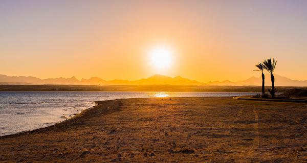 Foto van Sahl Hasheesh