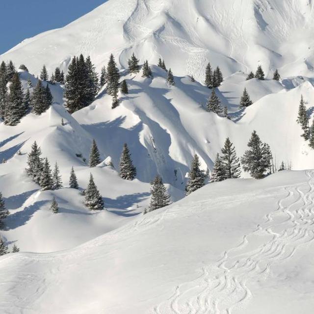 Hotel Edelweis - Afbeelding 16