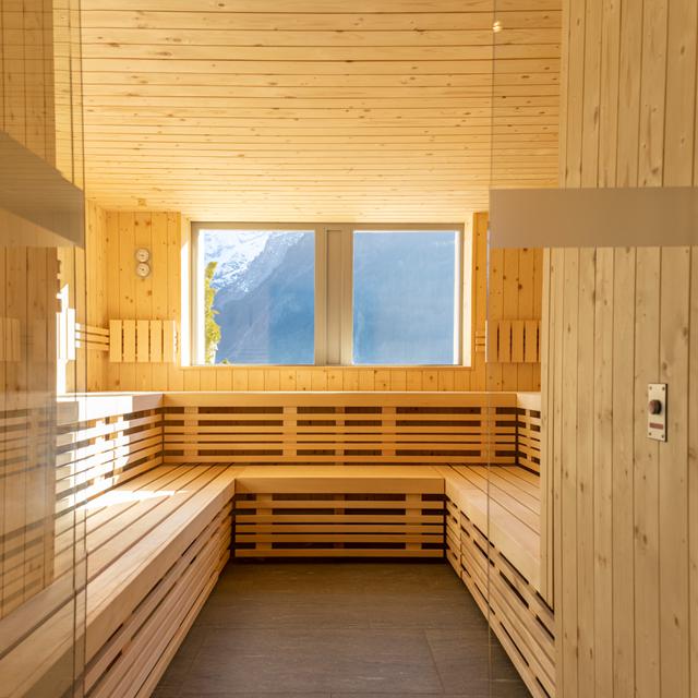 Hotel Terrace in Engelberg - foto 11