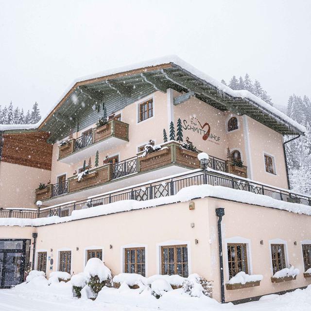 Omgeving rond Hotel Der Schmittenhof - Extra ingekocht in Zell am See (miniatuur)