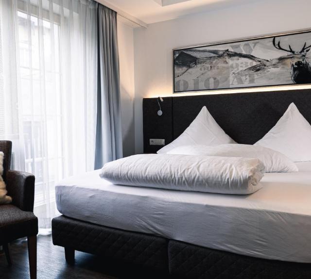 hotel-alpina