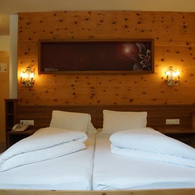 Hotel Alpina - Afbeelding 8