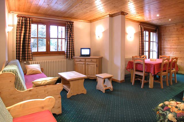 Skiën 3.5* Les Deux Alpes € 860,- ▷ samen met de hond