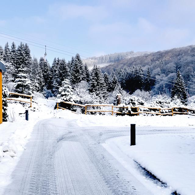 Upland Parcs Sauerland - Afbeelding 13