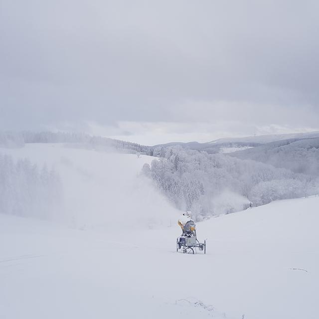 Landhotel Altastenberg - Logies ontbijt - Afbeelding 10