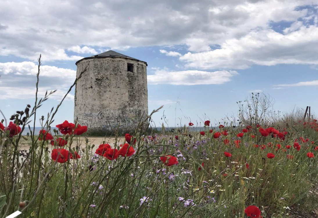 Kalives Foto: 3 van 4