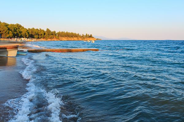 Foto van Metamorfosi Sithonia