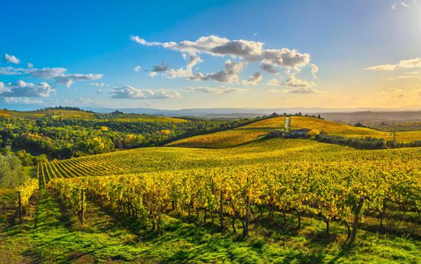 Foto van Radda in Chianti