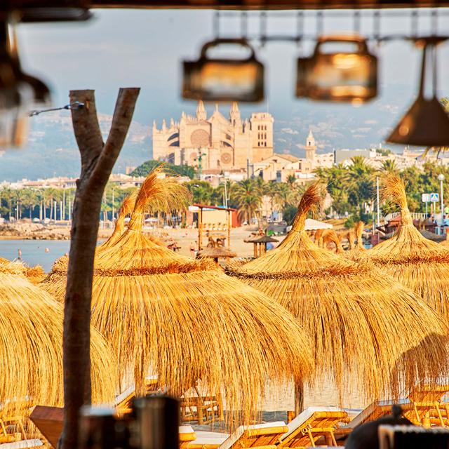 melia-palma-bay
