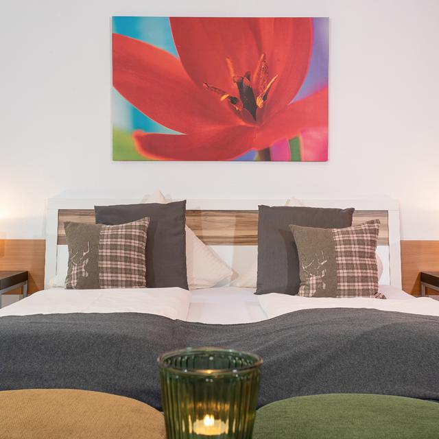 Zillertal Appartements - Afbeelding 7