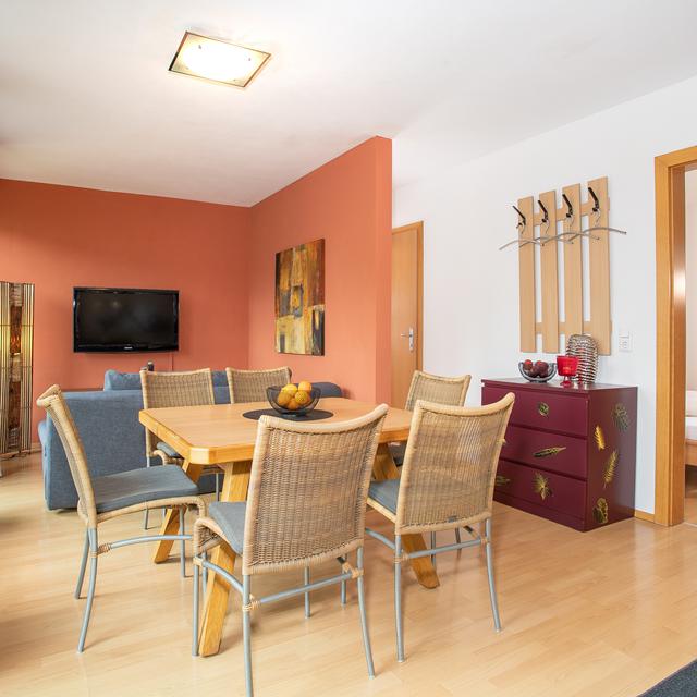 Zillertal Appartements - Afbeelding 8