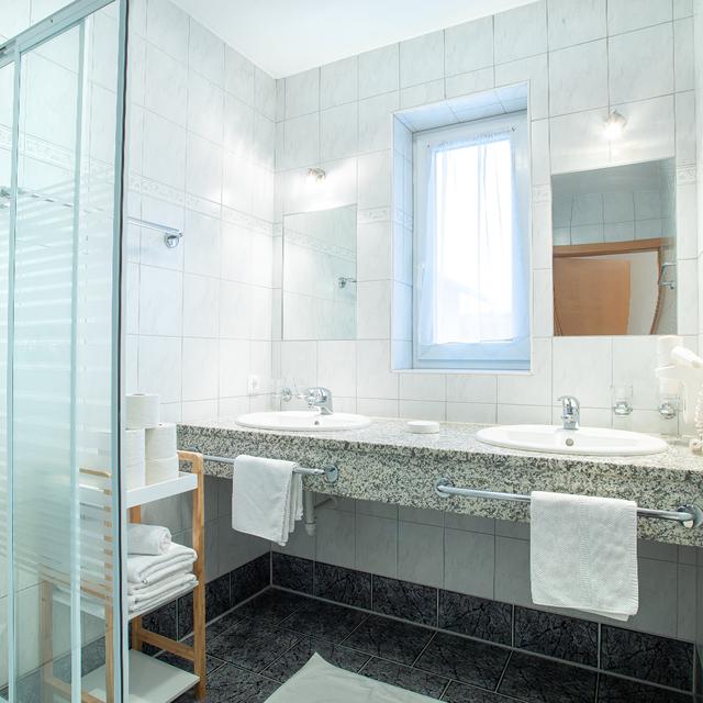Zillertal Appartements - Afbeelding 22