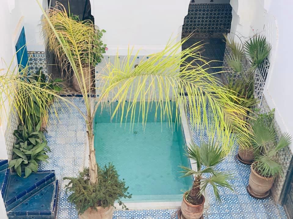 Riad Ifoulki impressie