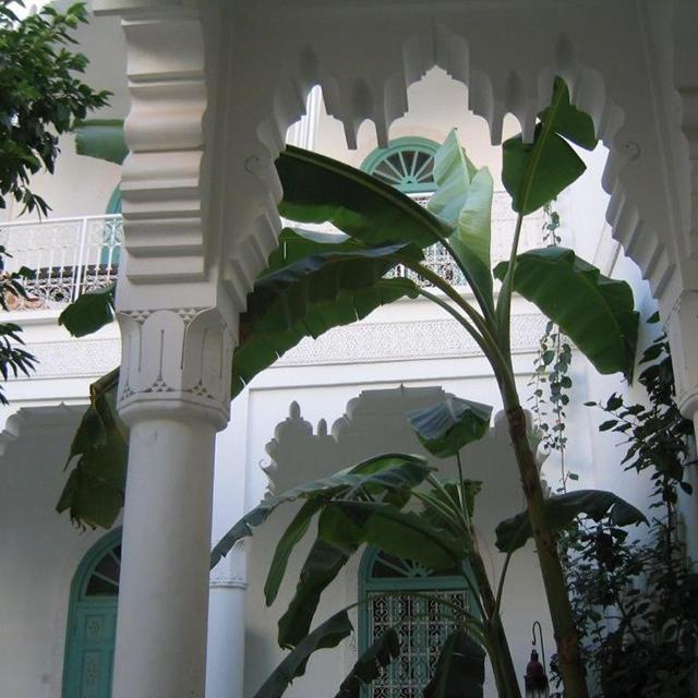 riad-ifoulki