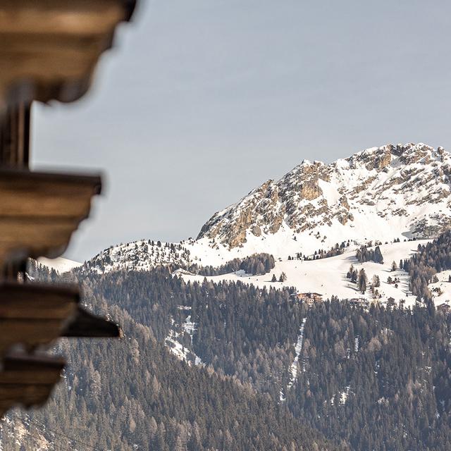 Hotel Gran Chalet Soreghes - Afbeelding 16