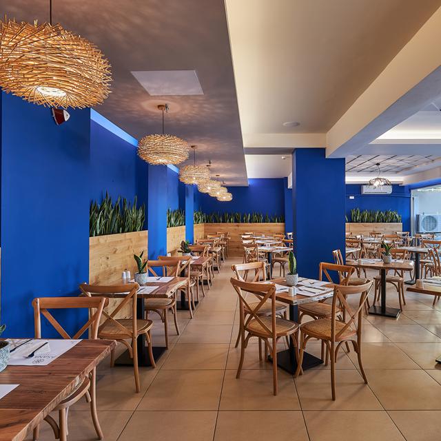 hotel-asana