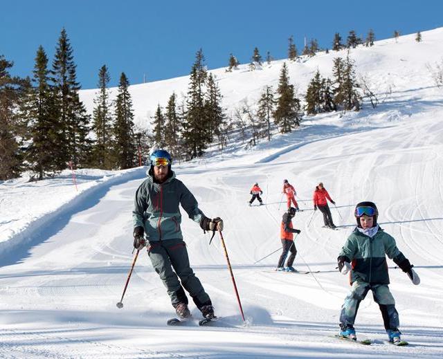 Stöten Ski Hotel in Stöten - foto 8