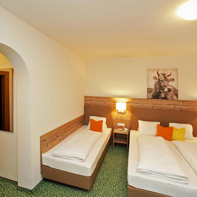 Ferienanlage Hotel Altachhof & Annemarie - Afbeelding 17