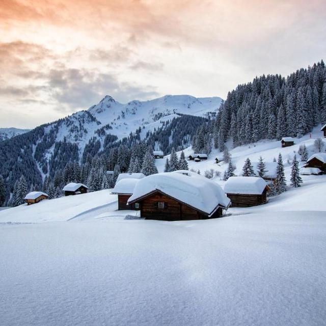 Blue Montafon - Afbeelding 7