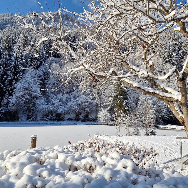 Familienhotel Bad Neunbrunnen - Afbeelding 10