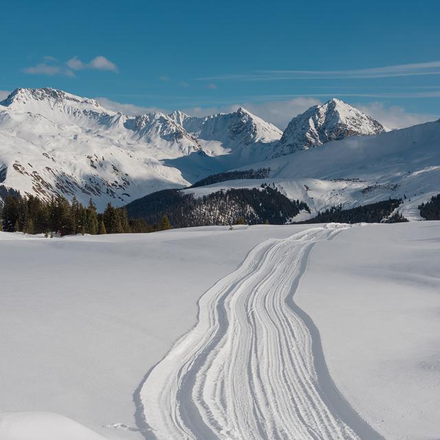 Sunstar Hotel Arosa - Afbeelding 8