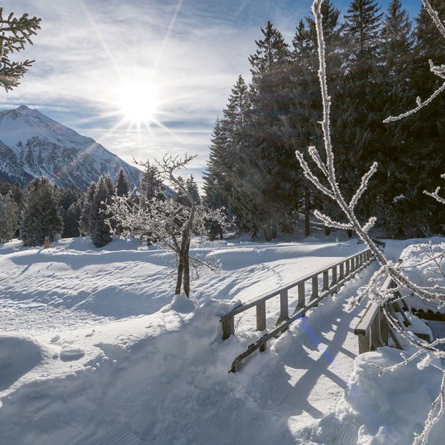 Sunstar Hotel Lenzerheide - Afbeelding 24