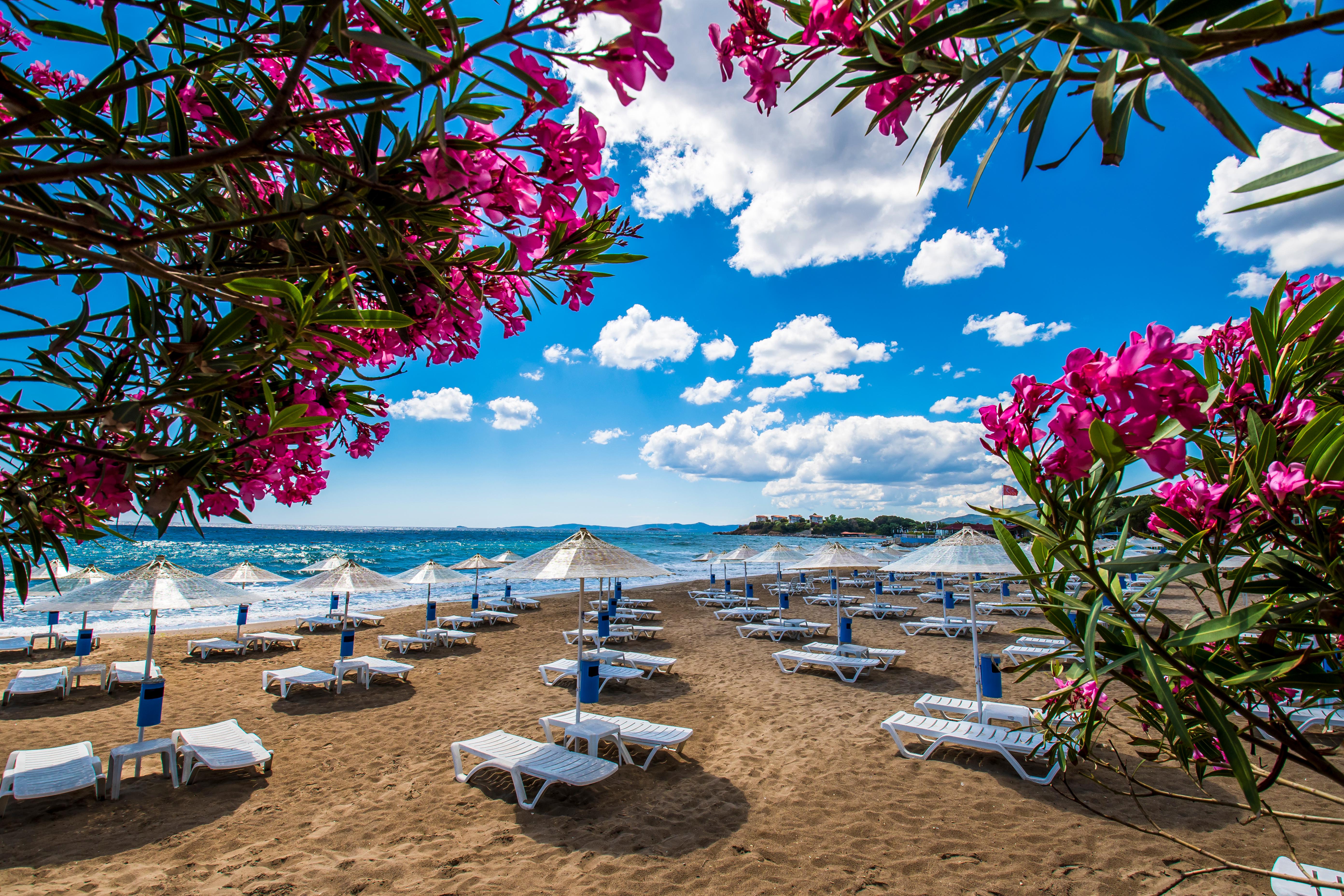 Noord-Egeïsche Kust