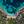 Bodrum-Bitez